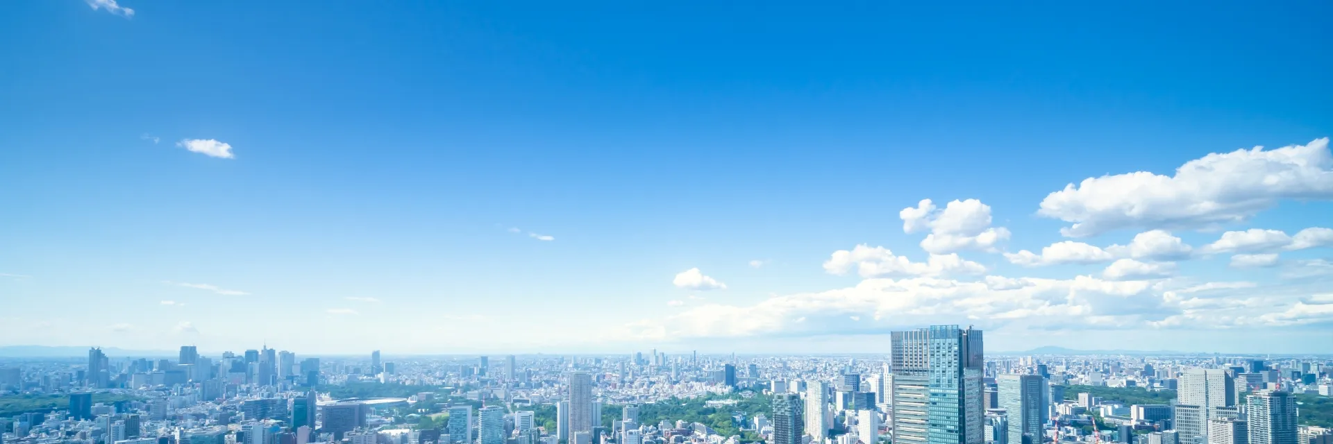 航海の目印とされる北極星のようにお客様の道標となり、いつも支える存在へ