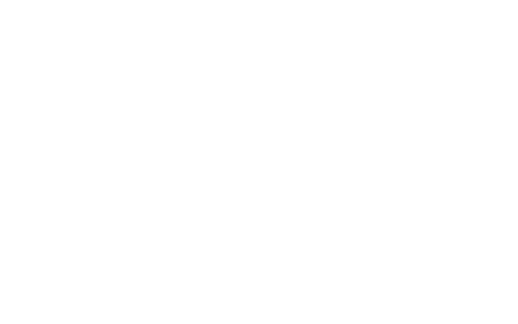 航海の目印とされる北極星のようにお客様の道標となり、いつも支える存在へ